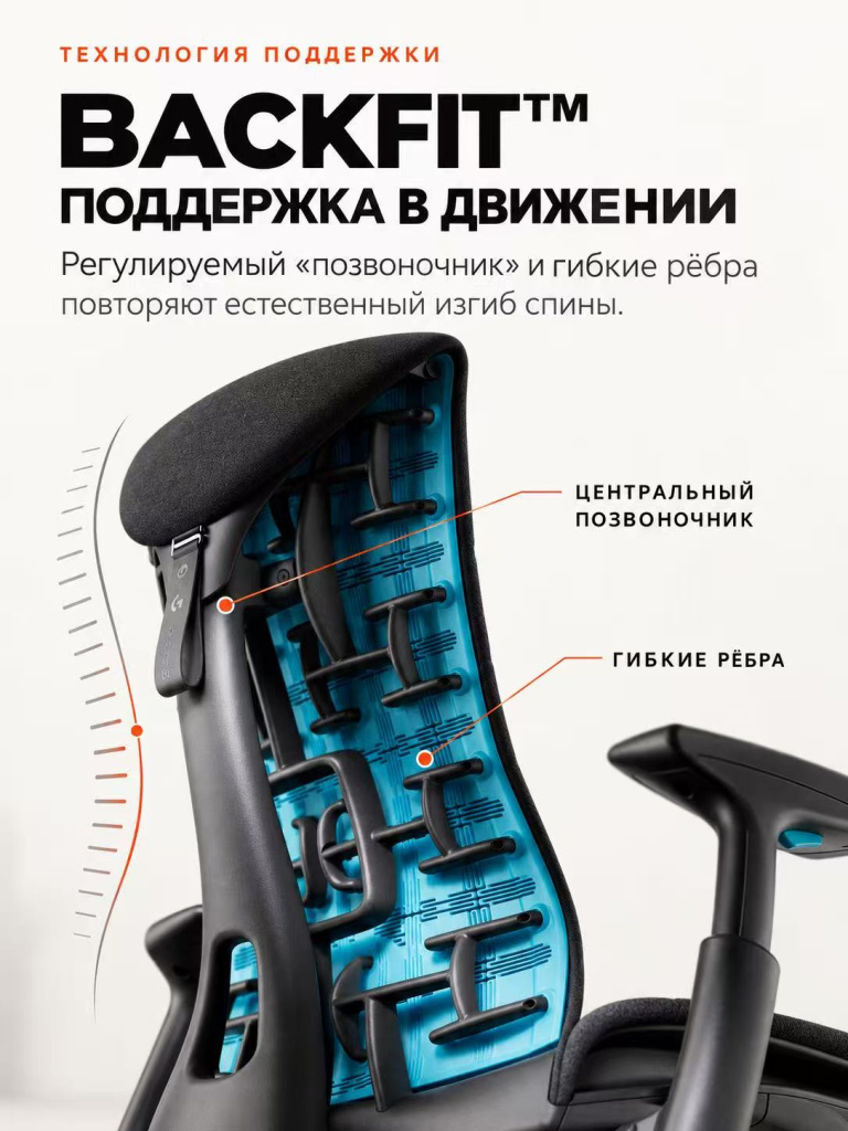 Herman Miller Embody BackFit